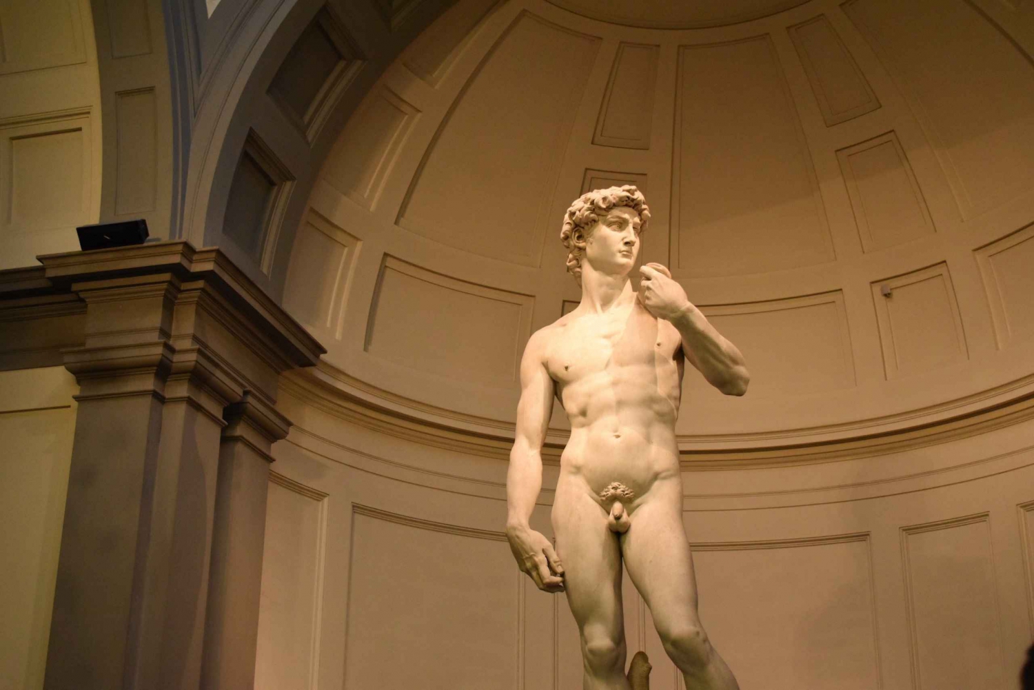 Florence: Accademia, Uffizi, and Duomo Guided Tour