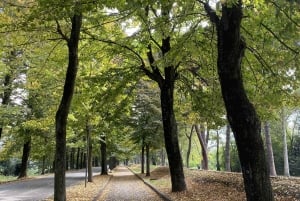 Firenze ja Pisa Livornon risteilysatamasta käsin