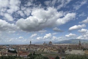 Firenze ja Pisa Livornon risteilysatamasta käsin