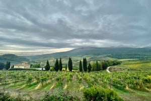 Firenze ja Pisa Livornon risteilysatamasta käsin