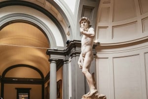 Florença: tour de arte, Galeria da Academia e David