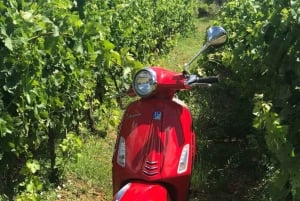 Florencja/Badesse: grupowa wycieczka Vespą po Toskanii z degustacją wina