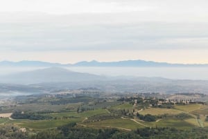 De Florence : survol de la Toscane en montgolfière