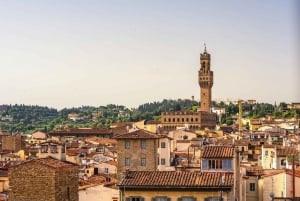 Florence: Best Intro Walking Tour with a Local