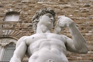 Firenze: Den bedste tur i Firenze med Michelangelos David