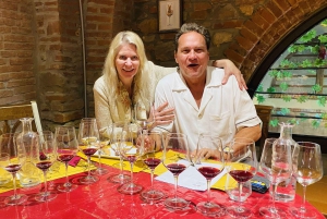 Florence : Visite guidée des jardins de Boboli