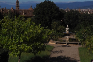 Florencia: Ticket de entrada reservada a los Jardines de Boboli y libro electrónico