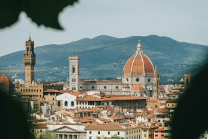 Toegangbewijs voor de Koepel van Brunelleschi & de Dom van Florence Duomo