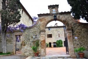 Florens: Brunello di Montalcino heldagstur i liten grupp