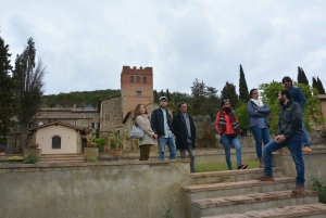 Firenze: Brunello di Montalcino Heldagstur i lille gruppe