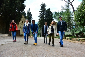 Firenze: Tour per piccoli gruppi del Brunello di Montalcino di un giorno intero
