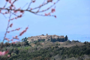 Florence : Brunello di Montalcino : visite en petit groupe d'une jounée