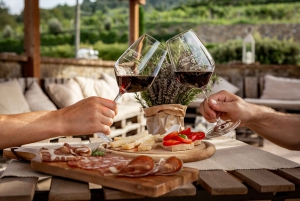 Florence: Brunello di Montalcino Small Group Full-Day Tour