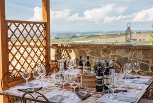 Florence: Brunello di Montalcino Small Group Full-Day Tour