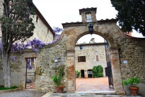 Florence: Brunello di Montalcino Small Group Full-Day Tour