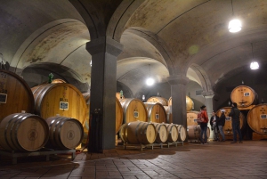 Florence: Brunello di Montalcino Small Group Full-Day Tour