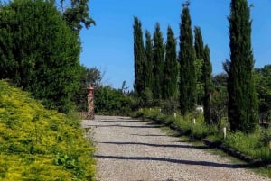 Florens med elcykel: Dolda kullar och lokala upplevelser