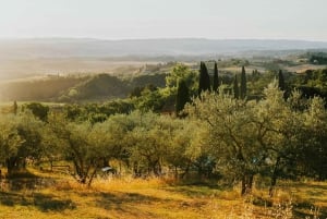Florens med elcykel: Dolda kullar och lokala upplevelser