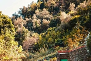 Florens med elcykel: Dolda kullar och lokala upplevelser