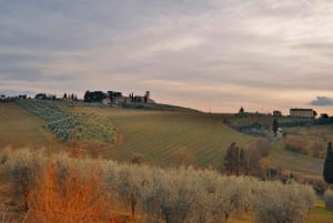 Florens med elcykel: Dolda kullar och lokala upplevelser