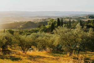 Florence per e-bike: verborgen heuvels en lokale sensaties