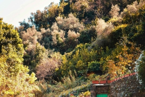 Florence per e-bike: verborgen heuvels en lokale sensaties