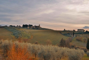 Florence per e-bike: verborgen heuvels en lokale sensaties