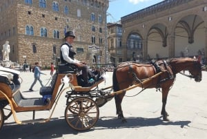 Florencia: Visita de la ciudad en carruaje con caballos