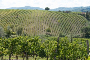 Firenze: Chianti Classico vinregion PRIVAT Smagstur