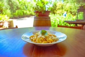 Firenze: Tour del Chianti in E-Bike con pranzo e due degustazioni di vini