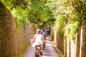 Firenze: Tour del Chianti in E-Bike con pranzo e due degustazioni di vini