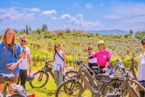 Firenze: Tour del Chianti in E-Bike con pranzo e due degustazioni di vini