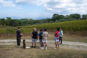 Florencja: Chianti na e-rowerze z toskańskim lunchem i winiarnią