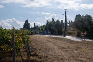 Florencja: Chianti na e-rowerze z toskańskim lunchem i winiarnią