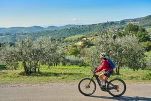 Firenze: Tour del Chianti in E-Bike con pranzo e due degustazioni di vini