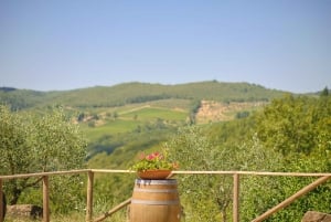 Firenze: Tour del Chianti in E-Bike con pranzo e due degustazioni di vini