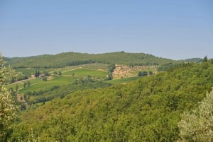 Firenze: Tour del Chianti in E-Bike con pranzo e due degustazioni di vini