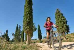 Firenze: Tour del Chianti in E-Bike con pranzo e due degustazioni di vini