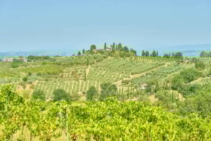Firenze: Tour del Chianti in E-Bike con pranzo e due degustazioni di vini