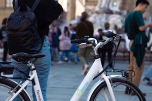 Firenze: Chianti el-sykkeltur med vinsmaking og lunsj