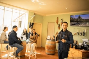 Florence: Chianti Fiat E-Car Tour with Wine Tasting & Lunch