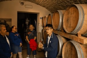 Florence: Chianti Fiat E-Car Tour with Wine Tasting & Lunch