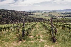 Florence: Chianti Half-Day Trip with Wineries and Tastings