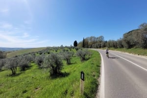 Florens: Cykeltur i Chianti-bergen med lunch på bondgård och vin