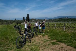 Florens: Cykeltur i Chianti-bergen med lunch på bondgård och vin