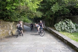 Florens: Cykeltur i Chianti-bergen med lunch på bondgård och vin