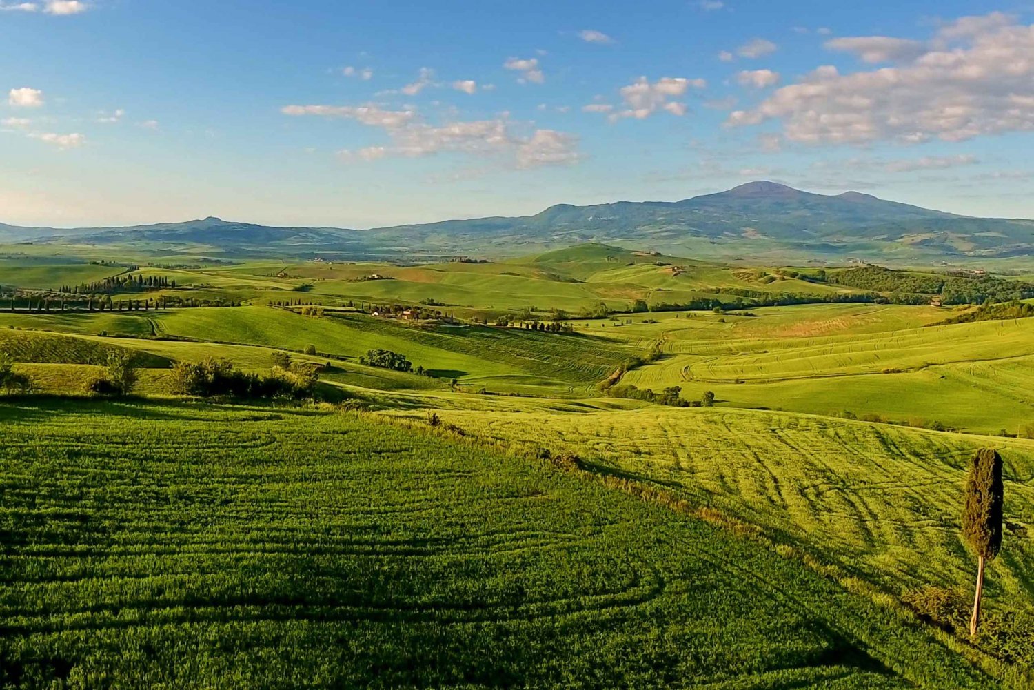 Florence: Chianti, Montalcino & Montepulciano Private Tour