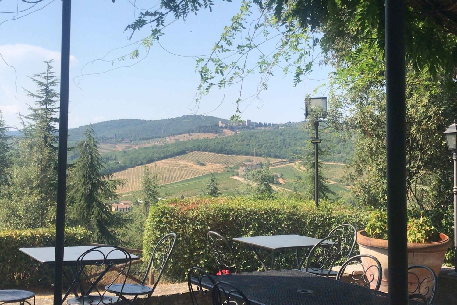 Florence: Chianti Montespertoli Wine Tour with Lunch