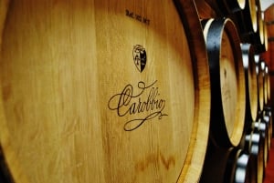 Florence: Chianti Montespertoli Wine Tour with Lunch