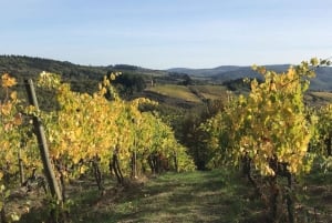 Florence: Chianti Montespertoli Wine Tour with Lunch